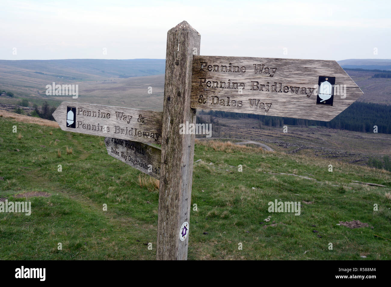 Un segno che indica il modo Dales e Pennine Way percorsi escursionistici, dove entrambi i percorsi si sovrappongono, nello Yorkshire, Inghilterra, Regno Unito. Foto Stock
