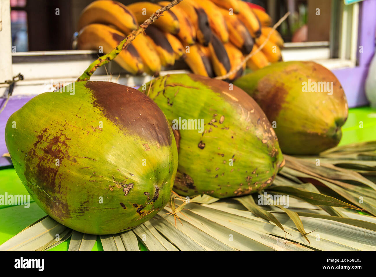3 verde fresco noci di cocco mature pronte per essere incrinato aperto per l'acqua di cocco in un cibo di strada di stallo del fornitore in Bahamas con le banane in background Foto Stock