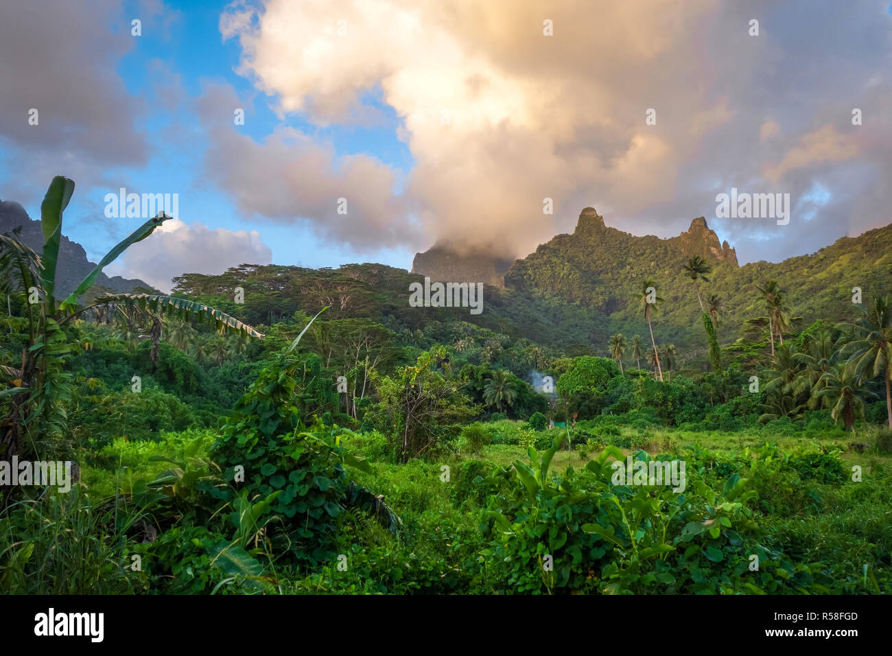 L'Isola di Moorea giungla e montagne paesaggio Foto Stock