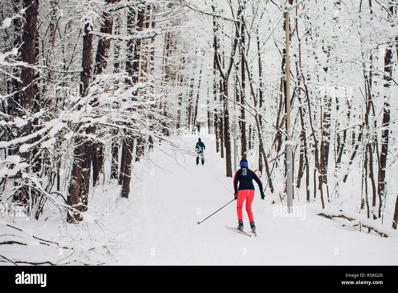 Nordic sciatore su bianco inverno foresta coperta di neve. Foto Stock
