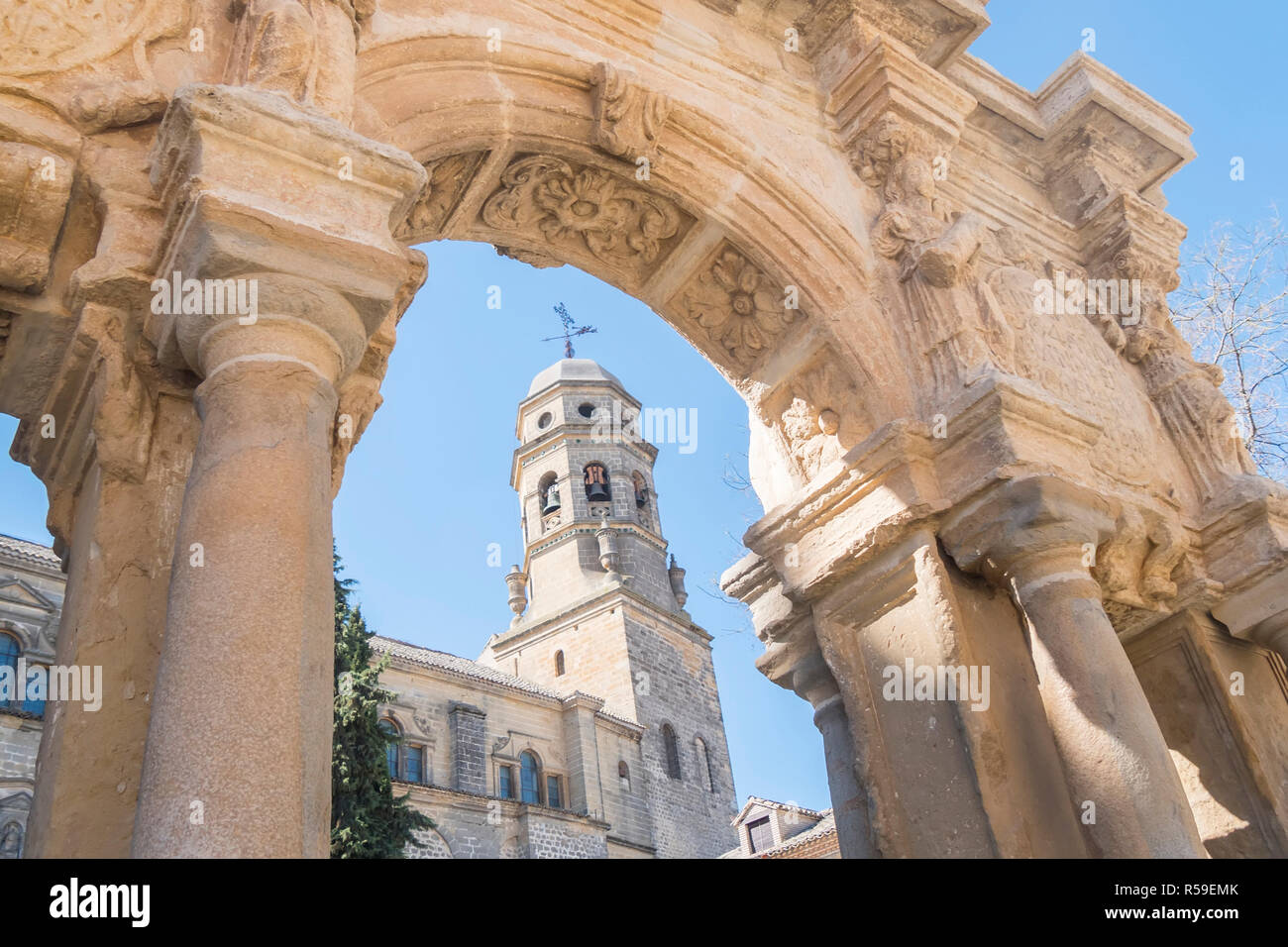Cattedrale dell'Assunzione della Vergine, di Santa Maria della Fontana, Baeza, Jaen, Spagna Foto Stock