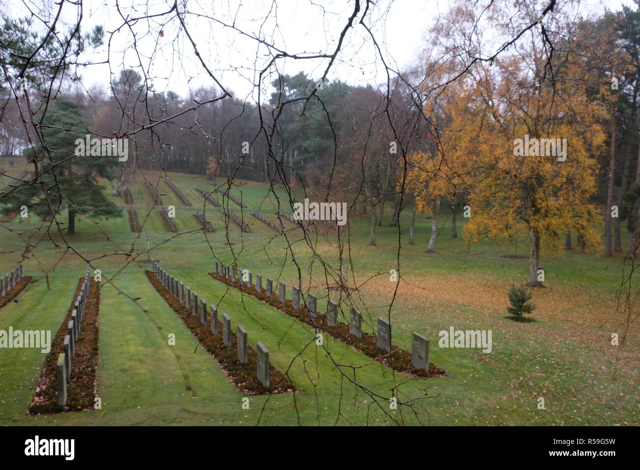 Cimitero militare tedesco, Cannock Chase, Staffordshire, Inghilterra Foto Stock