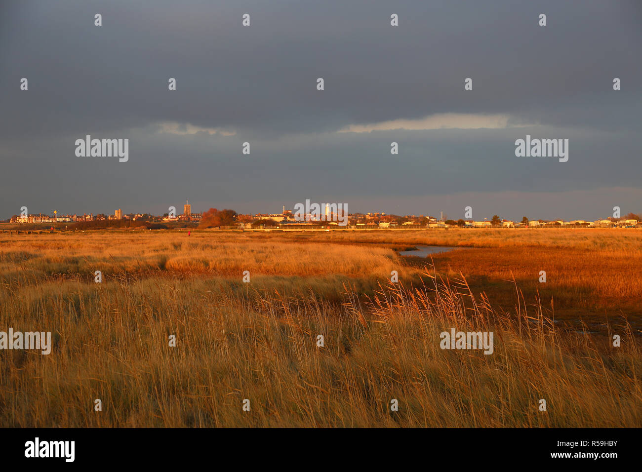 Gli appartamenti, Walberswick, Suffolk Coastal district, Suffolk, East Anglia, Inghilterra, Gran Bretagna, Regno Unito, Gran Bretagna, Europa Foto Stock