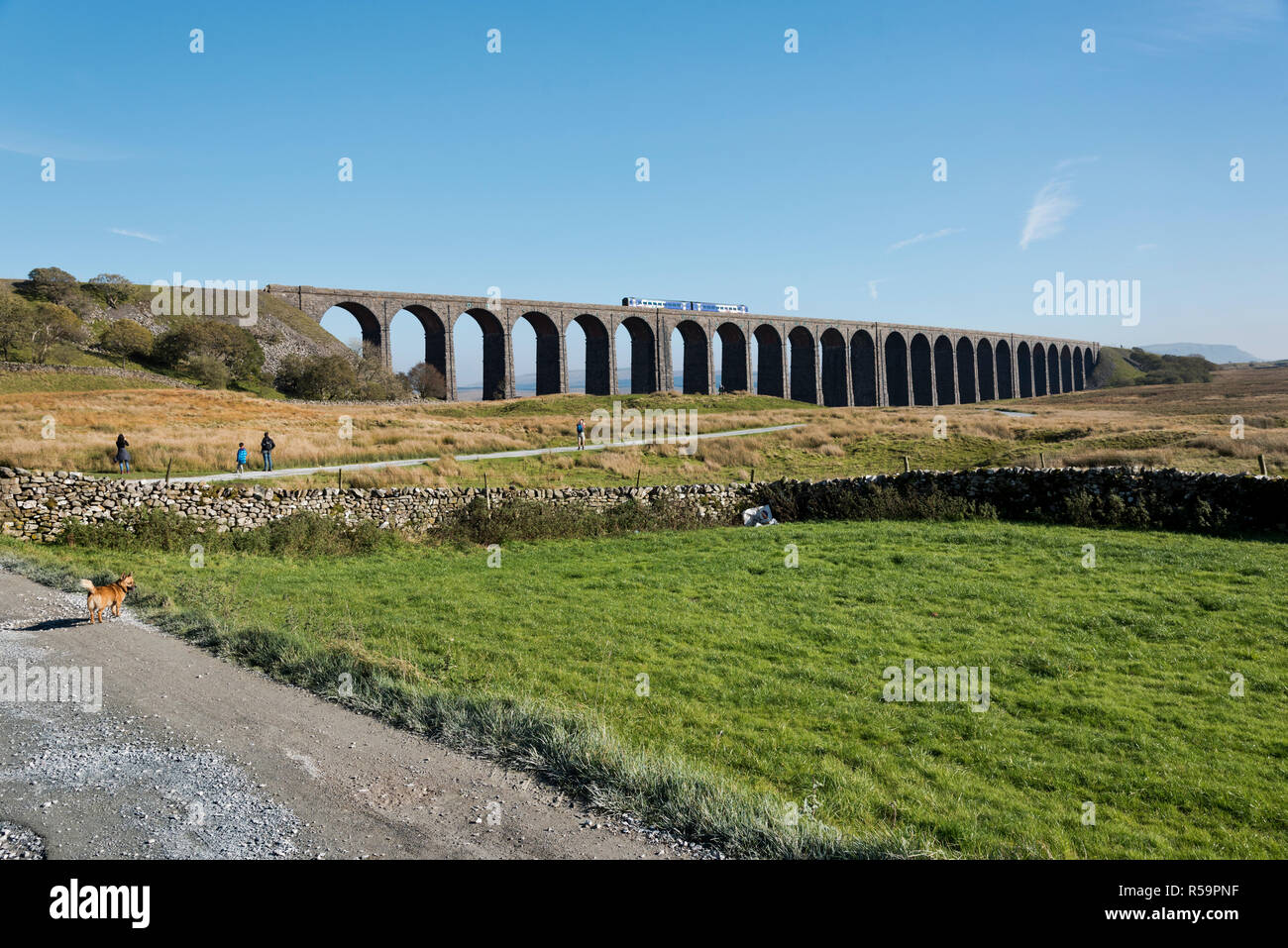 Un velocista treno passeggeri attraversa il viadotto Ribblehead, vicino Ingleton, Yorkshire Dales National Park, Regno Unito Foto Stock