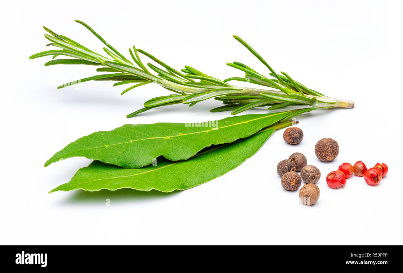 Spezie tradizionali, ramo di rosmarino, alloro, pepe nero e rosa Foto Stock