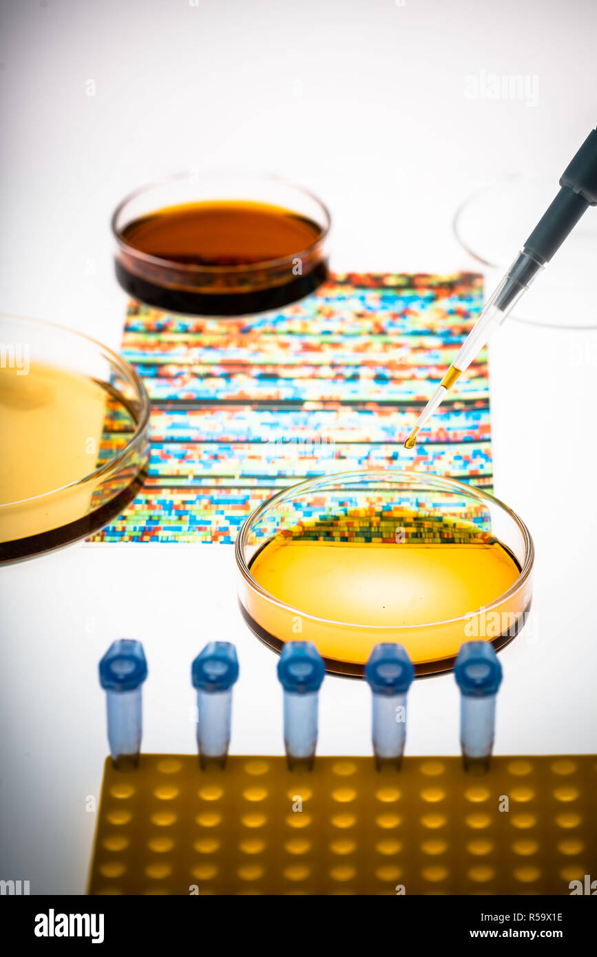 La ricerca genetica, immagine concettuale, DNA (acido desossiribonucleico) autoradiogramma e capsule di petri. Foto Stock