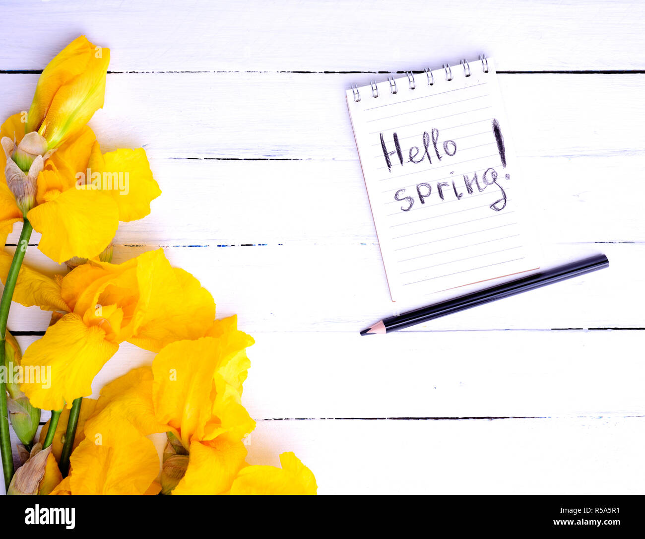 Notebook con la scritta ciao a molla Foto Stock