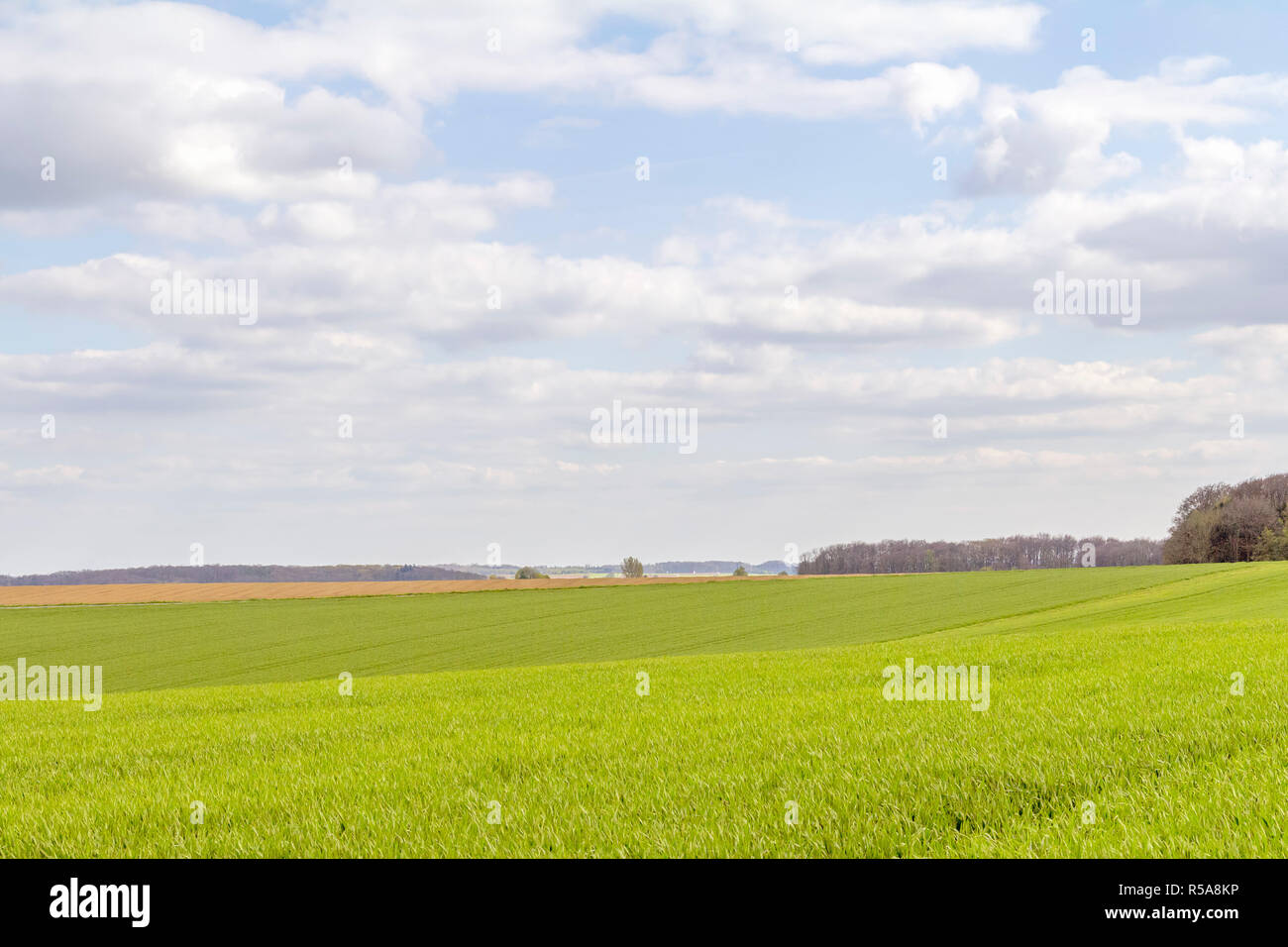 Paesaggio rurale in tempo di primavera Foto Stock