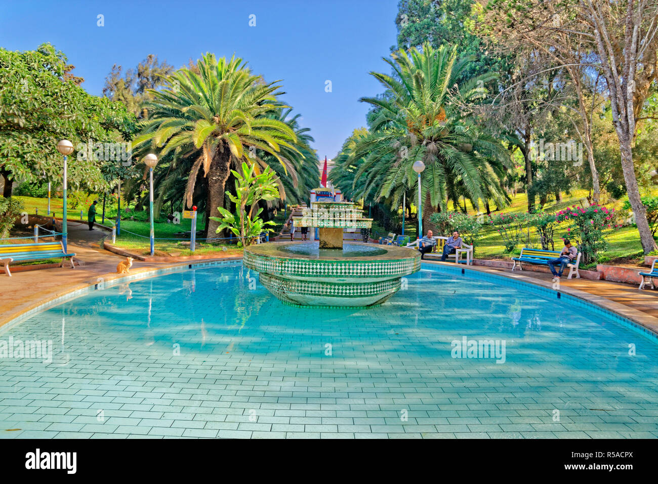 Bird Valley park, Vallée des oiseaux, nel centro di Agadir, Souss-Massa Provincia, Marocco, Nord Africa Occidentale. Foto Stock