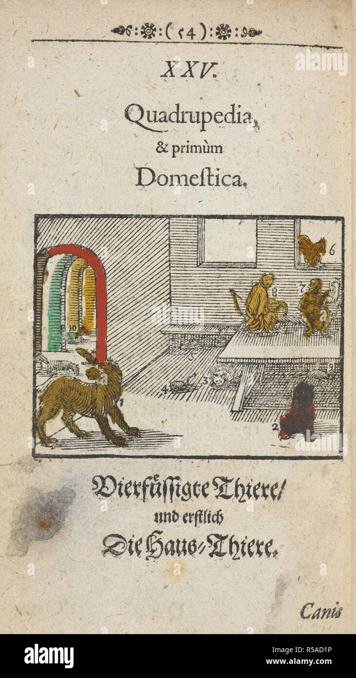 Xilografia a colori che mostra gli animali domestici. Orbis sensualium pictus... NoribergÃ¦ : typis & sumptibus Michaelis Endteri, 1659. Fonte: 627.b.9 pagina 54. Lingua: tedesco. Autore: COMENIUS, JOHANN AMOS. Foto Stock