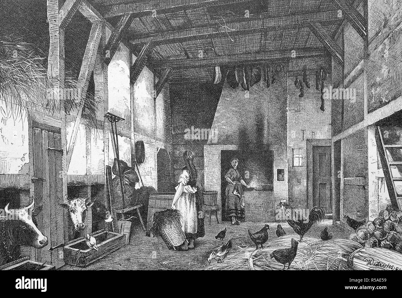 Old-Saxon casa d' abitazione e casa colonica nella sentenza Altmark, le persone e gli animali che vivono insieme, xilografia, 1885, Germania Foto Stock