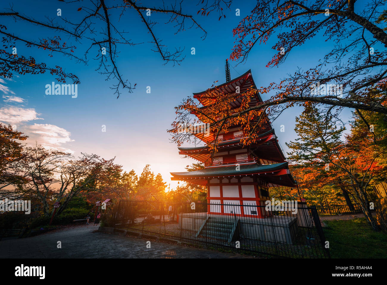 Pagoda Chureito e foglie rosse in autunno sul tramonto a Fujiyoshida, Giappone. Foto Stock