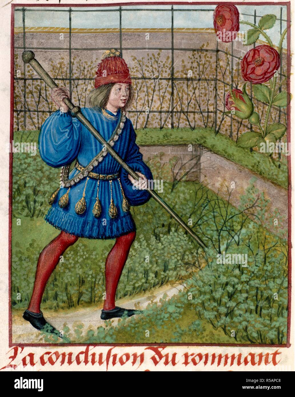 L'amante, nel giardino, tende la rosa. Roman de la Rose. S. Paesi Bassi [Bruges]; circa 1490-1500. giardiniere,giardino,romantico,manoscritto medievale,,letto floreale,hoe,rose,red collant,tunica blu,. Fonte: Harley 4425, f.184v. Lingua: Francese. Autore: LORRIS, Guillaume de. MEUN, JEAN DE. Maestro di libri di preghiera. Foto Stock