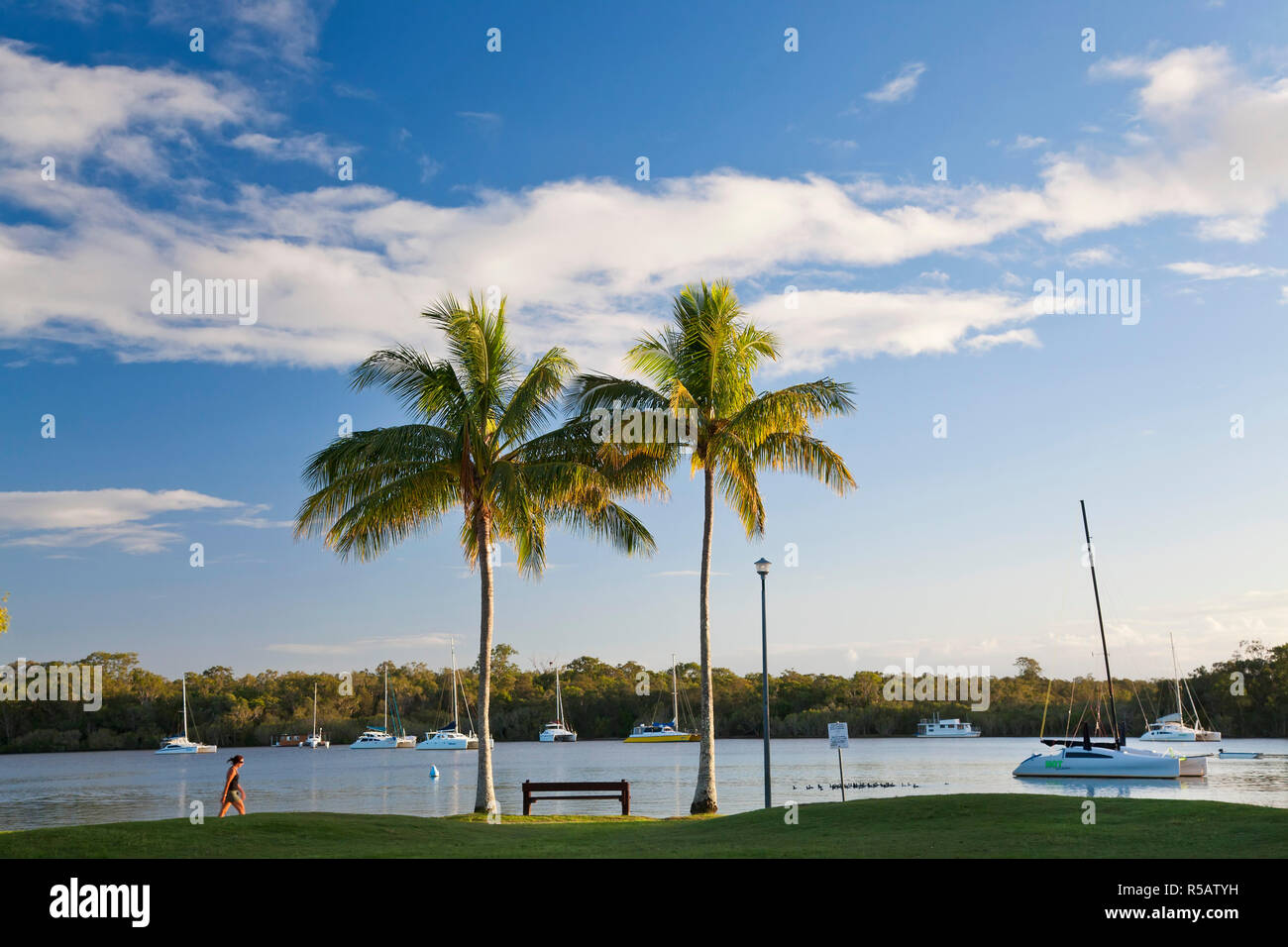 Noosa River, teste di Noosa, Queensland, Australia Foto Stock