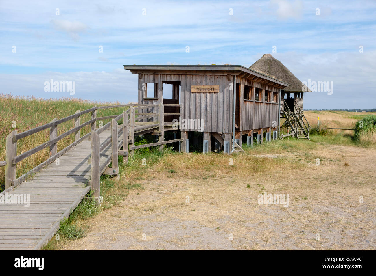 La piattaforma di osservazione in Pramort, Western Pomerania Area Laguna National Park, Fischland-Darß-Zingst, Meclenburgo-Pomerania Occidentale, Germania Foto Stock