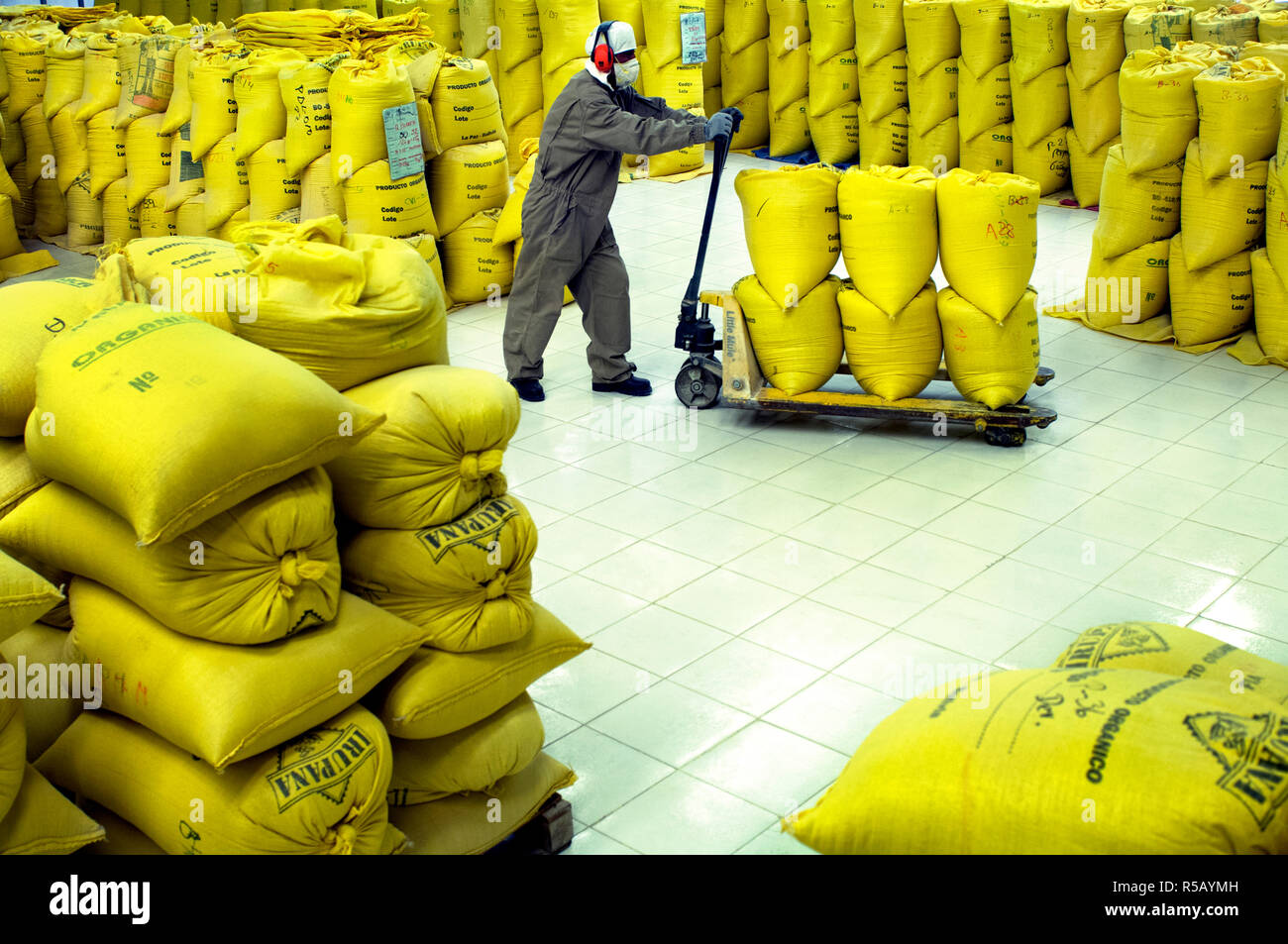 La quinoa Fabbrica, sacchetti di Quinoa per esportazione, El Alto, Bolivia Foto Stock