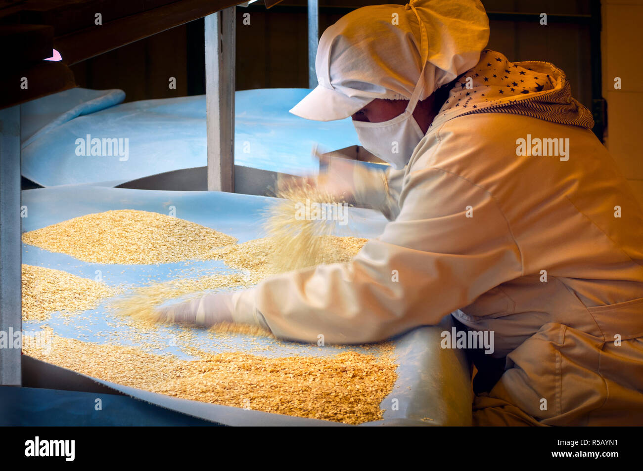 La quinoa fabbrica, Controllo Qualità, ispettore El Alto, Bolivia Foto Stock