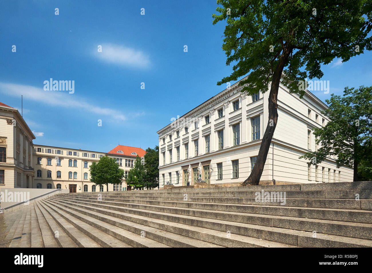 Piazza dell'universita' di Martin Lutero Halle-Wittenberg università di Halle / Saale, Sassonia-Anhalt, Germania Foto Stock