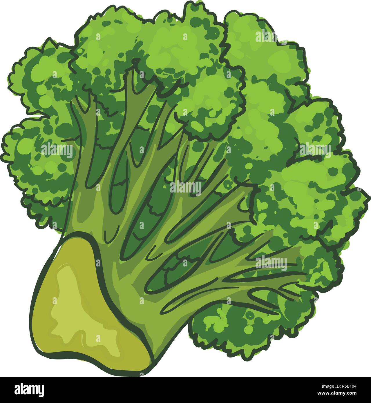 Broccoli freschi icona. Cartoon di broccoli freschi icona vettoriali per il web design isolato su sfondo bianco Illustrazione Vettoriale