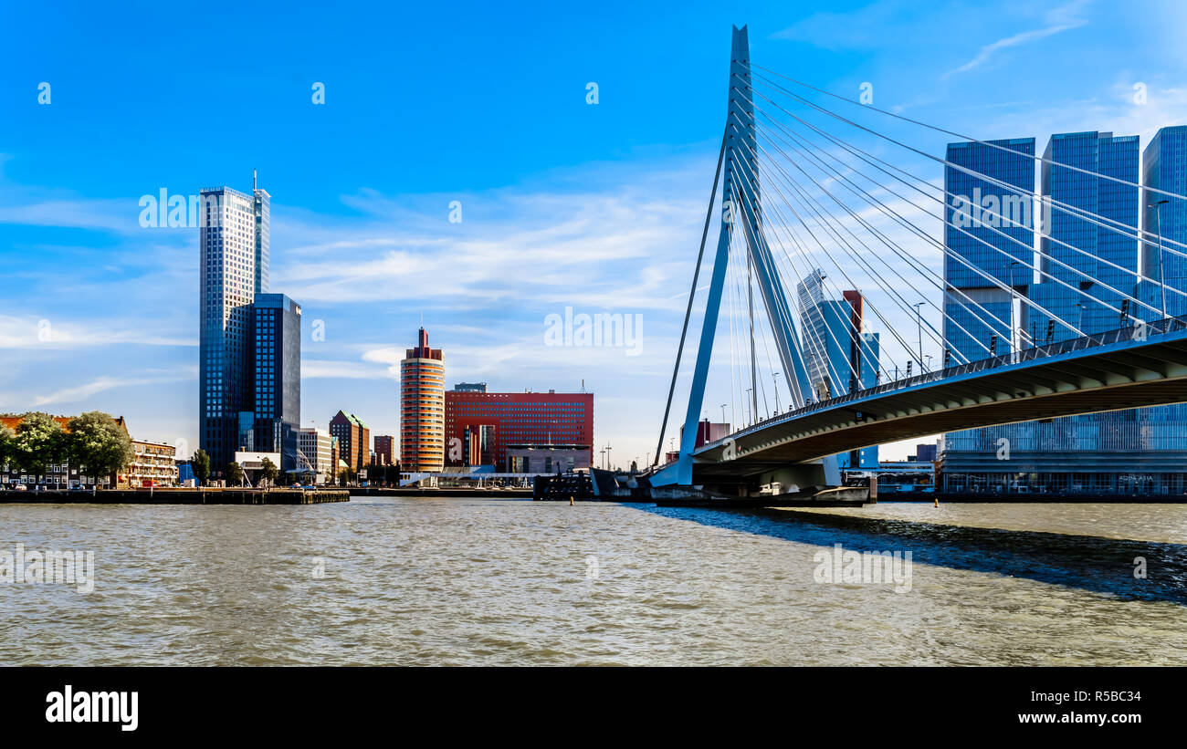 Architettura moderna edifici alti in Olanda Amerikakade con il Cable-Stayed Ponte Erasmus oltre la Nieuwe Maas River a Rotterdam Foto Stock