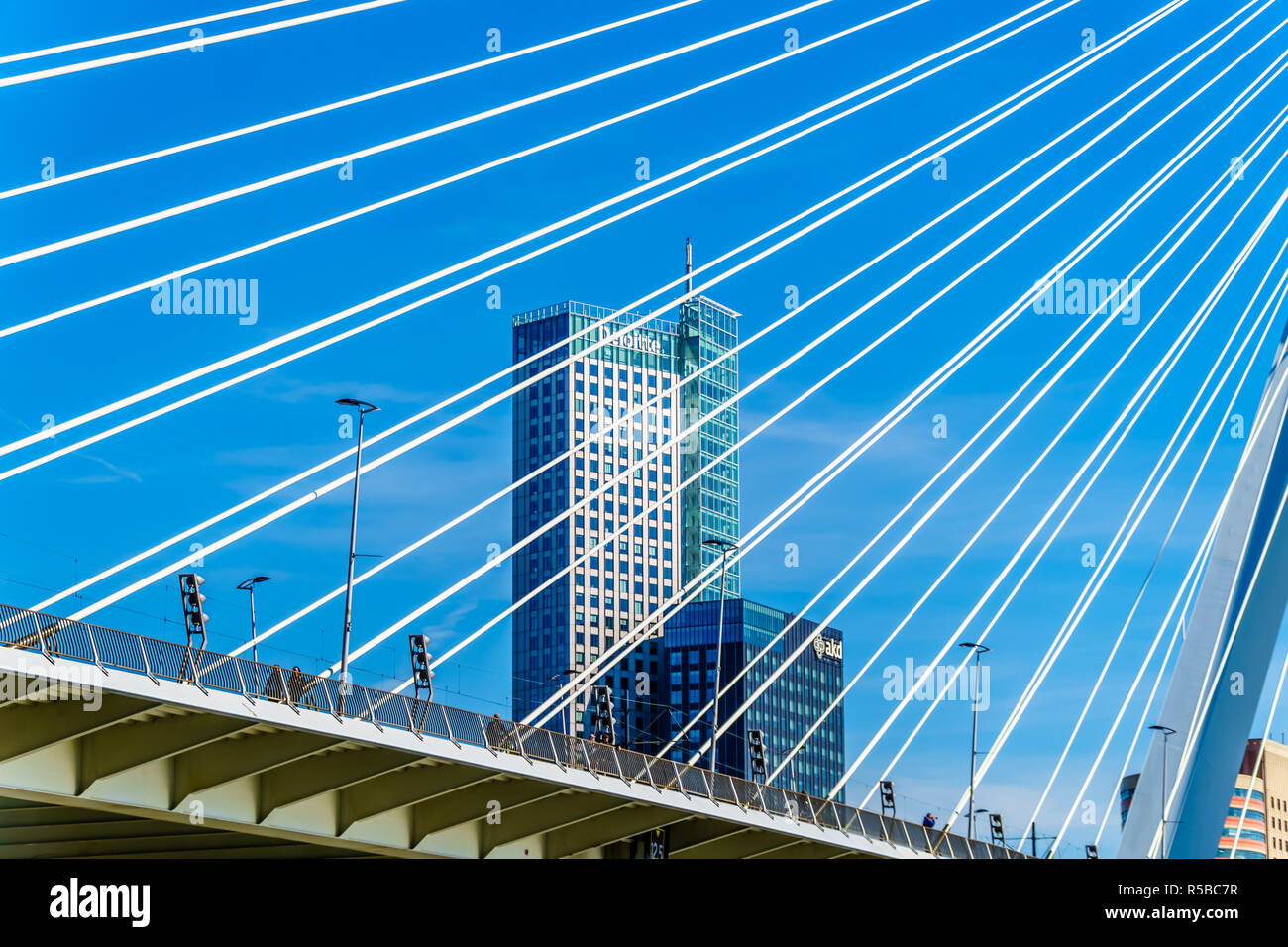 Architettura moderna edifici alti in Olanda Amerikakade con il Cable-Stayed Ponte Erasmus oltre la Nieuwe Maas River a Rotterdam Foto Stock