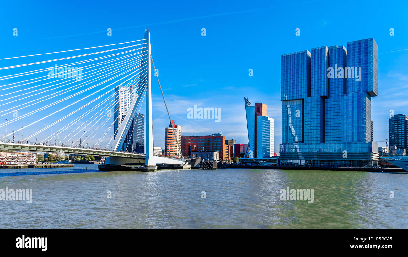 Architettura moderna edifici alti in Olanda Amerikakade con il Cable-Stayed Ponte Erasmus oltre la Nieuwe Maas River a Rotterdam Foto Stock