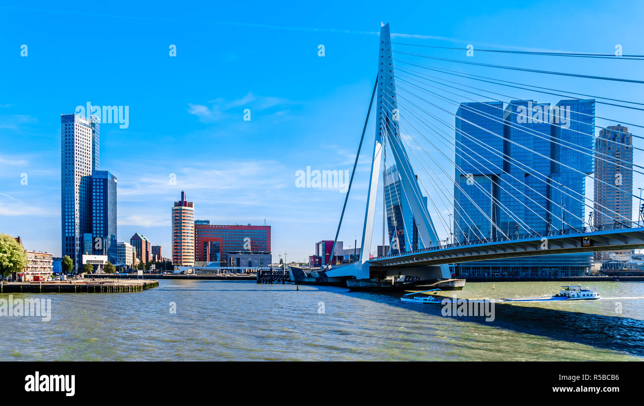 Architettura moderna edifici alti in Olanda Amerikakade con il Cable-Stayed Ponte Erasmus oltre la Nieuwe Maas River a Rotterdam Foto Stock