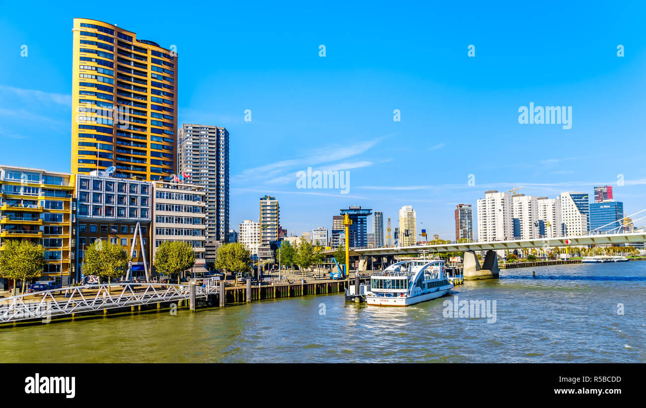 Moderno ed alto edificio di condomini e office alti edifici al Willemskade lungo la Nieuwe Maas river a Rotterdam nei Paesi Bassi Foto Stock
