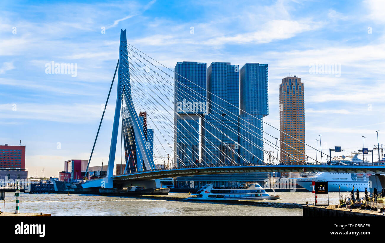 Architettura moderna edifici alti in Olanda Amerikakade con il Cable-Stayed Ponte Erasmus oltre la Nieuwe Maas River a Rotterdam Foto Stock