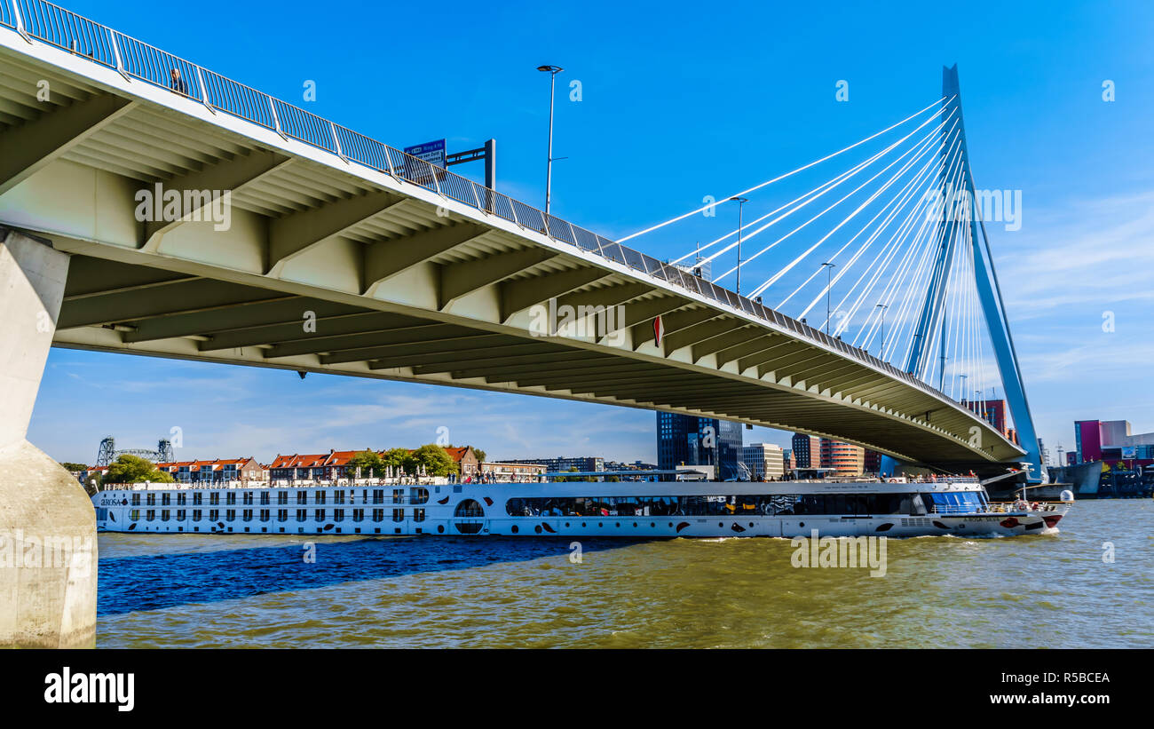 River Cruise Ship andando sotto il moderno Cable-Stayed Ponte Erasmus oltre la Nieuwe Maas fiume nella città portuale di Rotterdam nei Paesi Bassi Foto Stock
