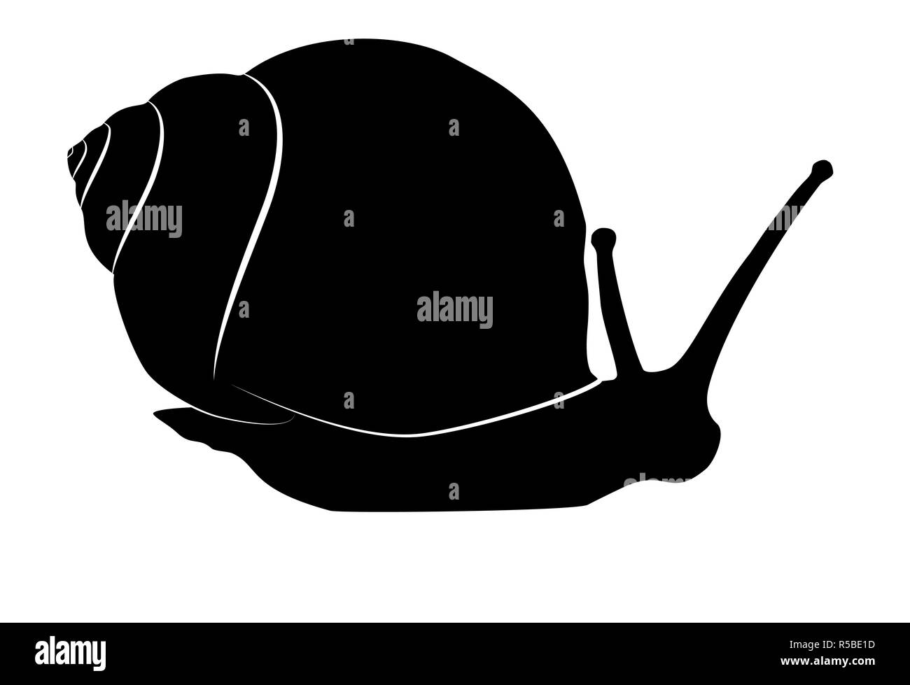 Snail strisciando silhouette nera isolati su sfondo bianco. Semplice pittogramma Slug, logo, icona Foto Stock