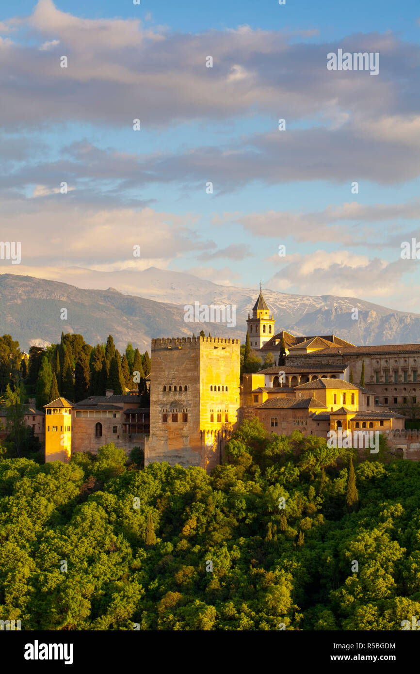 L' Alhambra Palace, Granada, provincia di Granada, Andalusia, Spagna Foto Stock