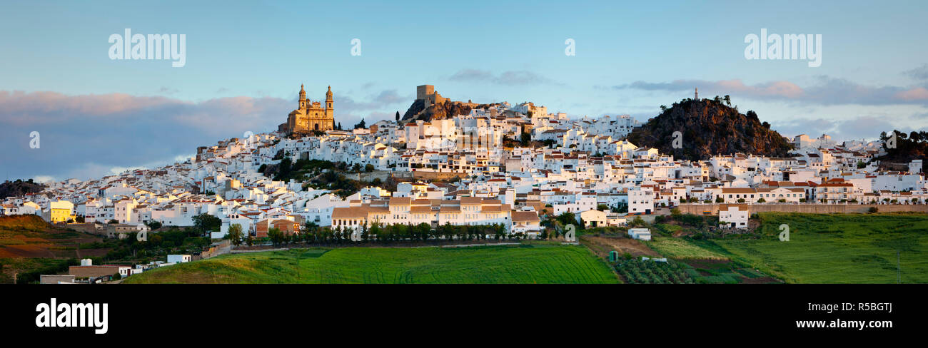 Olvera presso sunrise, Olvera, la provincia di Cadiz Cadice, Andalusia, Spagna Foto Stock