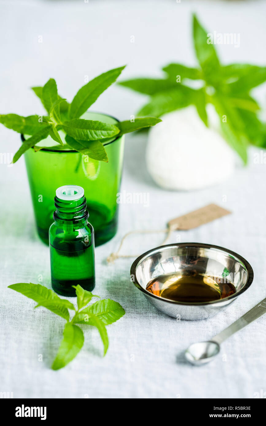 Bottiglia di verbena del limone olio essenziale (Aloysia triphylla). Foto Stock