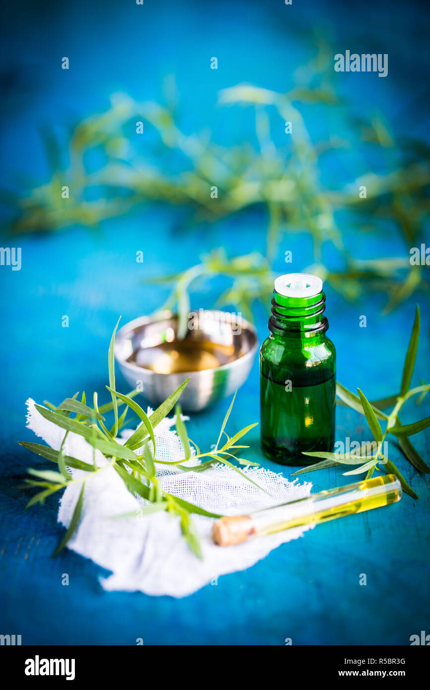 Olio essenziale di dragoncello. Foto Stock