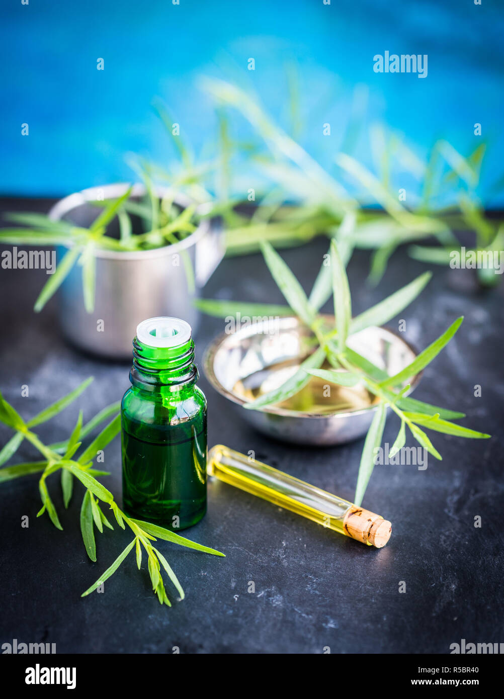 Olio essenziale di dragoncello. Foto Stock