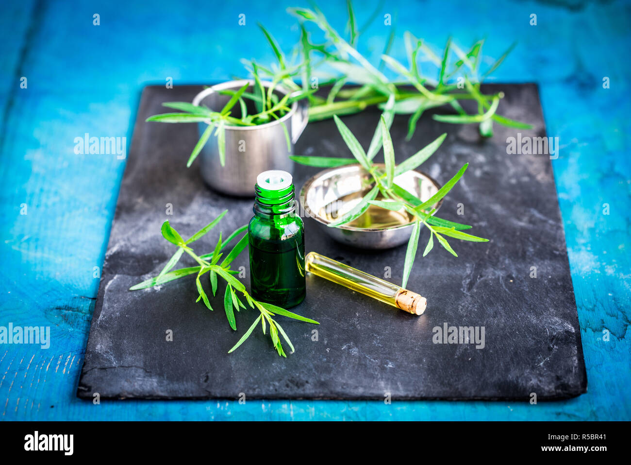 Olio essenziale di dragoncello. Foto Stock