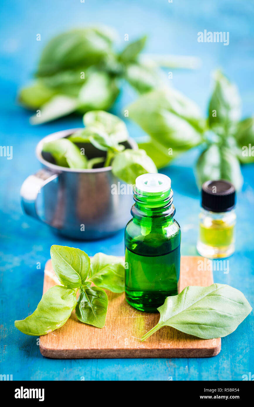Olio essenziale di basilico. Foto Stock