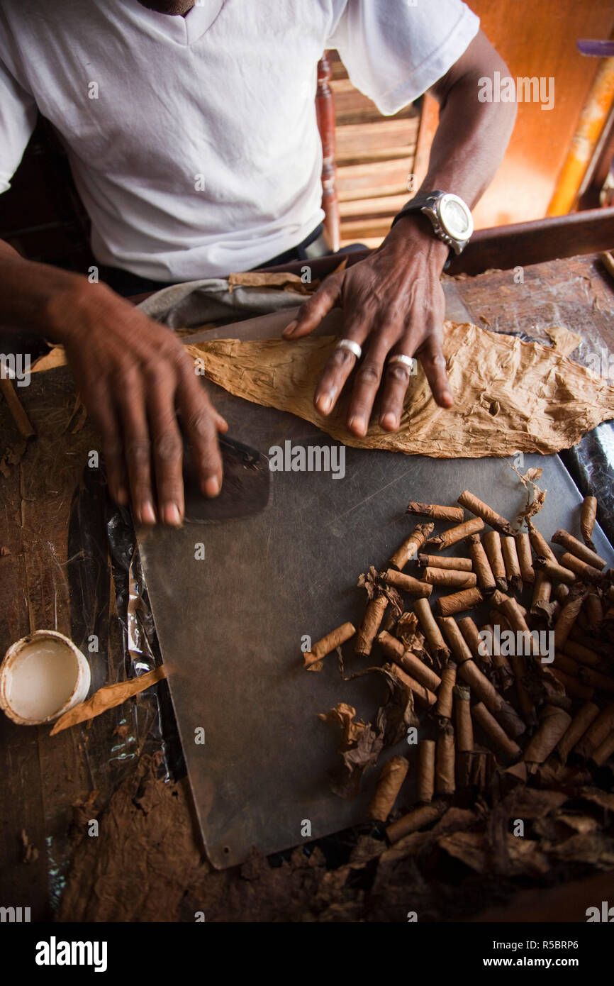 Repubblica Dominicana, Santo Domingo, Zona Colonial, sigaro rolling a La Leyenda del Cigarro fabbrica di sigari Foto Stock