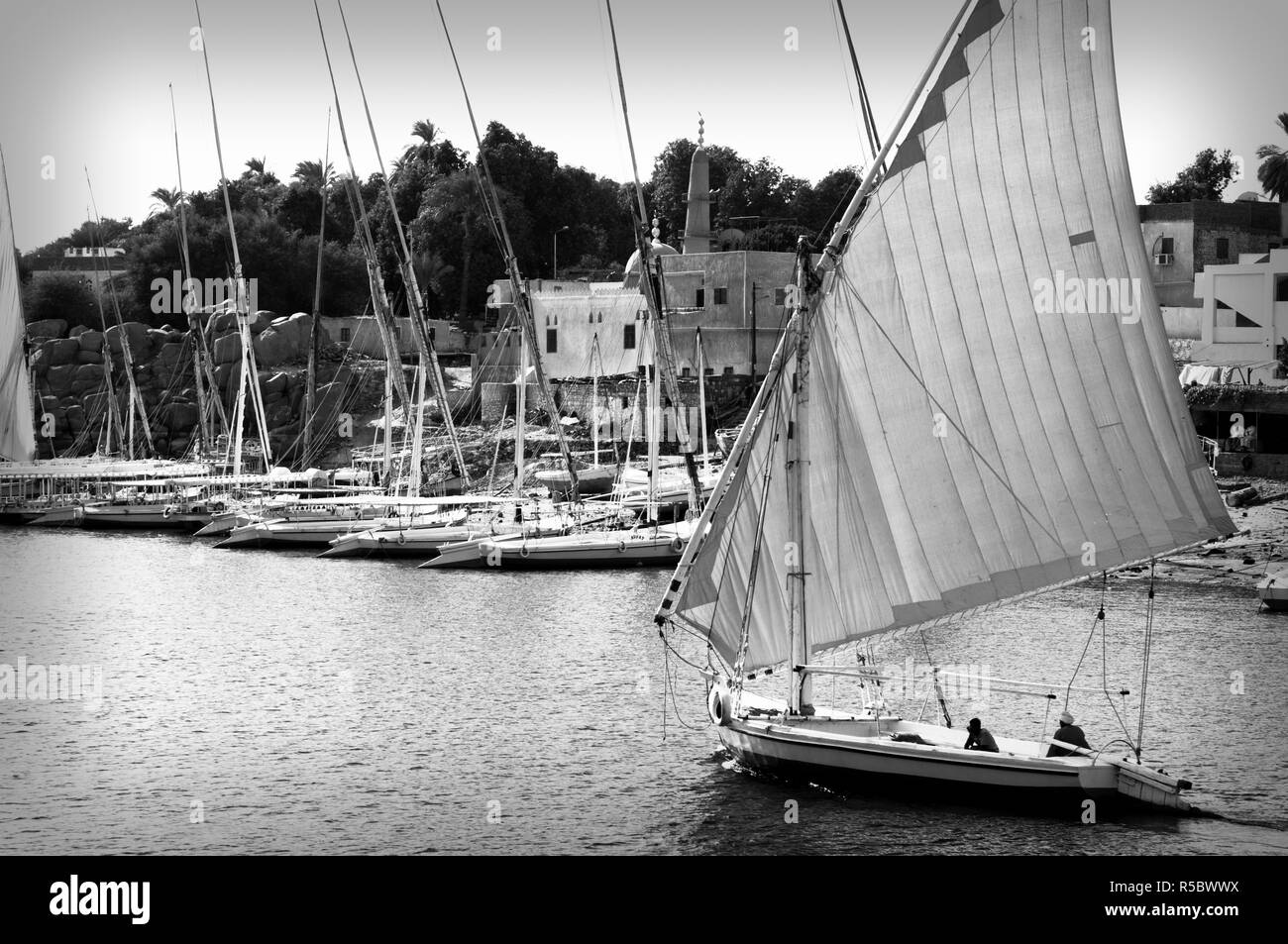 Egitto Alto Egitto, Aswan, Fiume Nilo Foto Stock