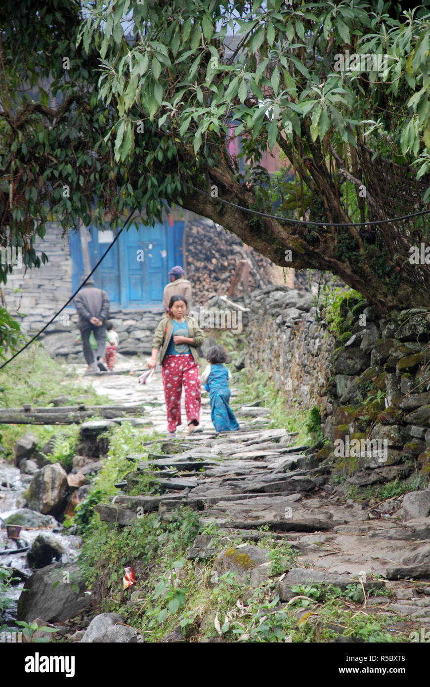 Il villaggio himalayana di Hatiya nel Nepal orientale Foto Stock