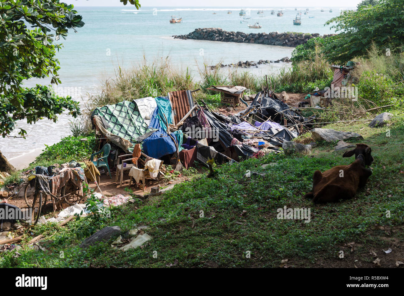 Posto per la vita delle persone senza fissa dimora, vicino spiaggia, mucca. Concetto di povertà e di privazioni, sovrappopolazione, problemi sociali con l'alloggiamento. Foto Stock