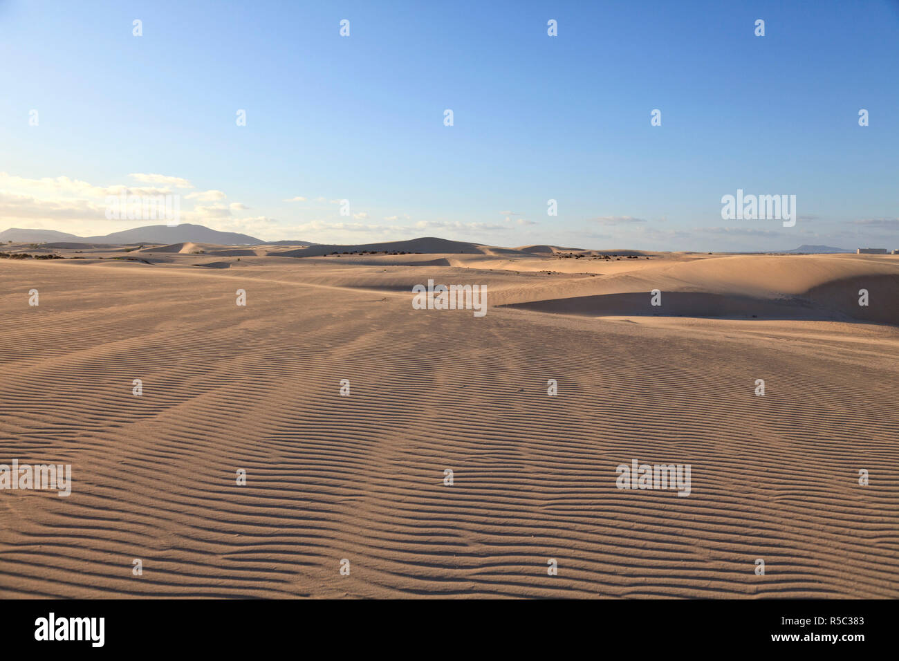 Spagna Isole Canarie Fuerteventura, Parque Natural de Corralejo dune di sabbia Foto Stock