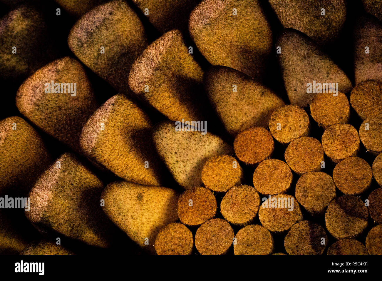 Buriti Close-up Foto Stock