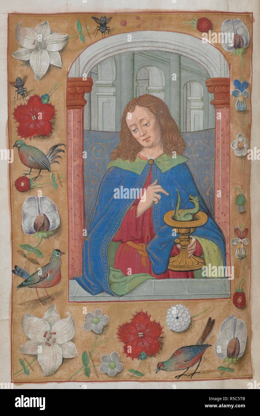 San Giovanni Evangelista, con una tazza e un serpente. Libro d Ore, uso di Sarum. Paesi Bassi, S. (Bruges); c. 1500. Fonte: King's 9, f.30v. Lingue: Latina. Foto Stock