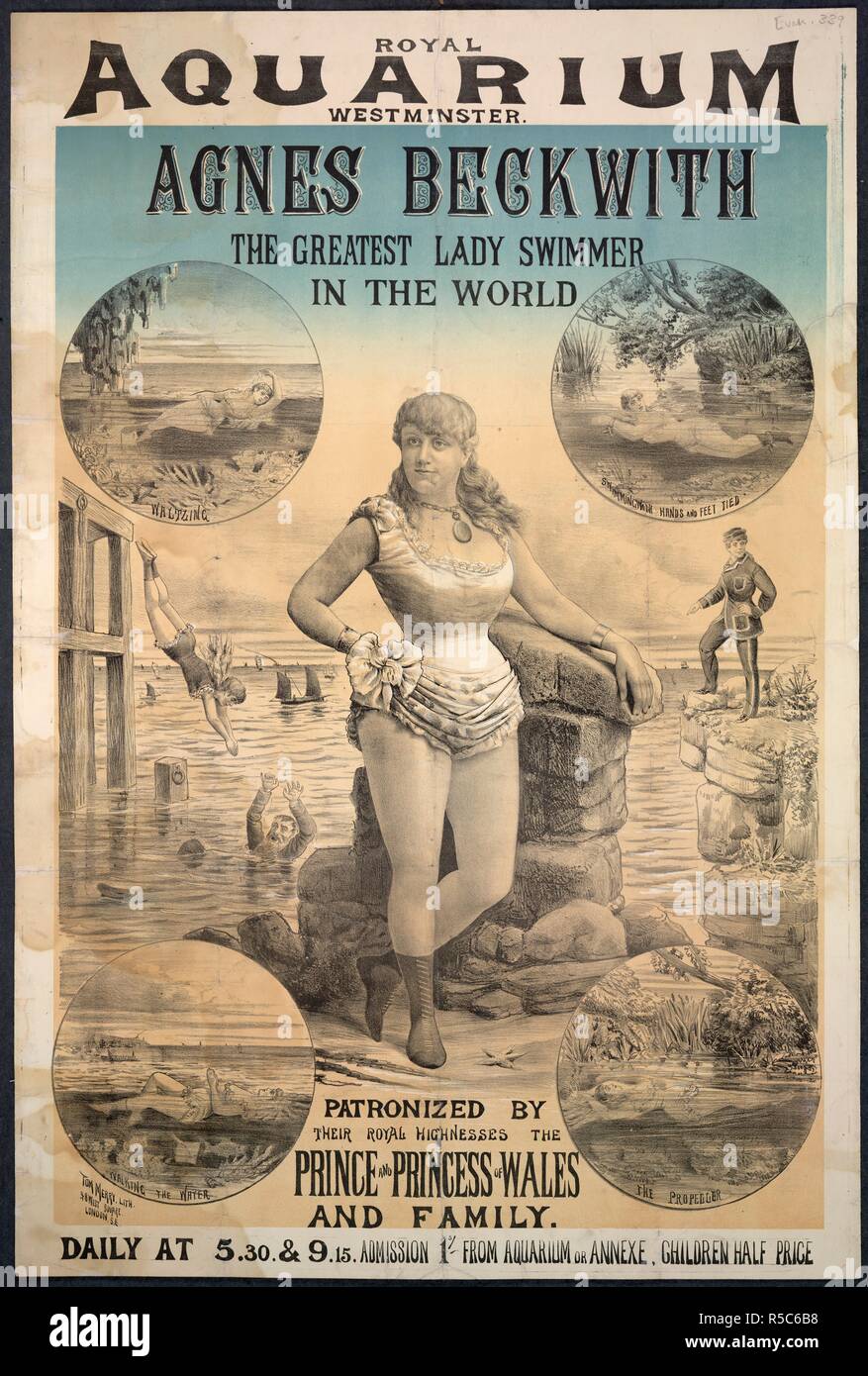 Royal Aquarium. Una collezione di opuscoli da locandine, e la miscella. Londra, c. 1885. Un poster per 'Agnes Beckwith la signora più grande nuotatore del mondo' presso il Royal Aquarium, Westminster. In 1880, percorreva acqua per 30 ore nel serbatoio di balene del Royal acquario di Westminster a parità di un precedente record stabilito da Matthew Webb. Immagine presa da una raccolta di opuscoli da locandine e stampati vari in materia di intrattenimento in stile vittoriano e la vita di tutti i giorni. Originariamente pubblicato/prodotto in London, c. 1885. . Fonte: Evan.339,. Lingua: Inglese. Foto Stock