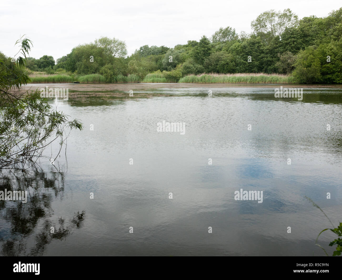 Paese lago di scena in estate Inghilterra Regno Unito Foto Stock
