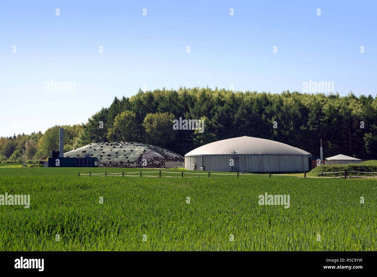 Impianto di produzione di biogas per energia rinnovabile in un campo di fronte a una foresta, cielo blu, copia dello spazio, messa a fuoco selezionata Foto Stock