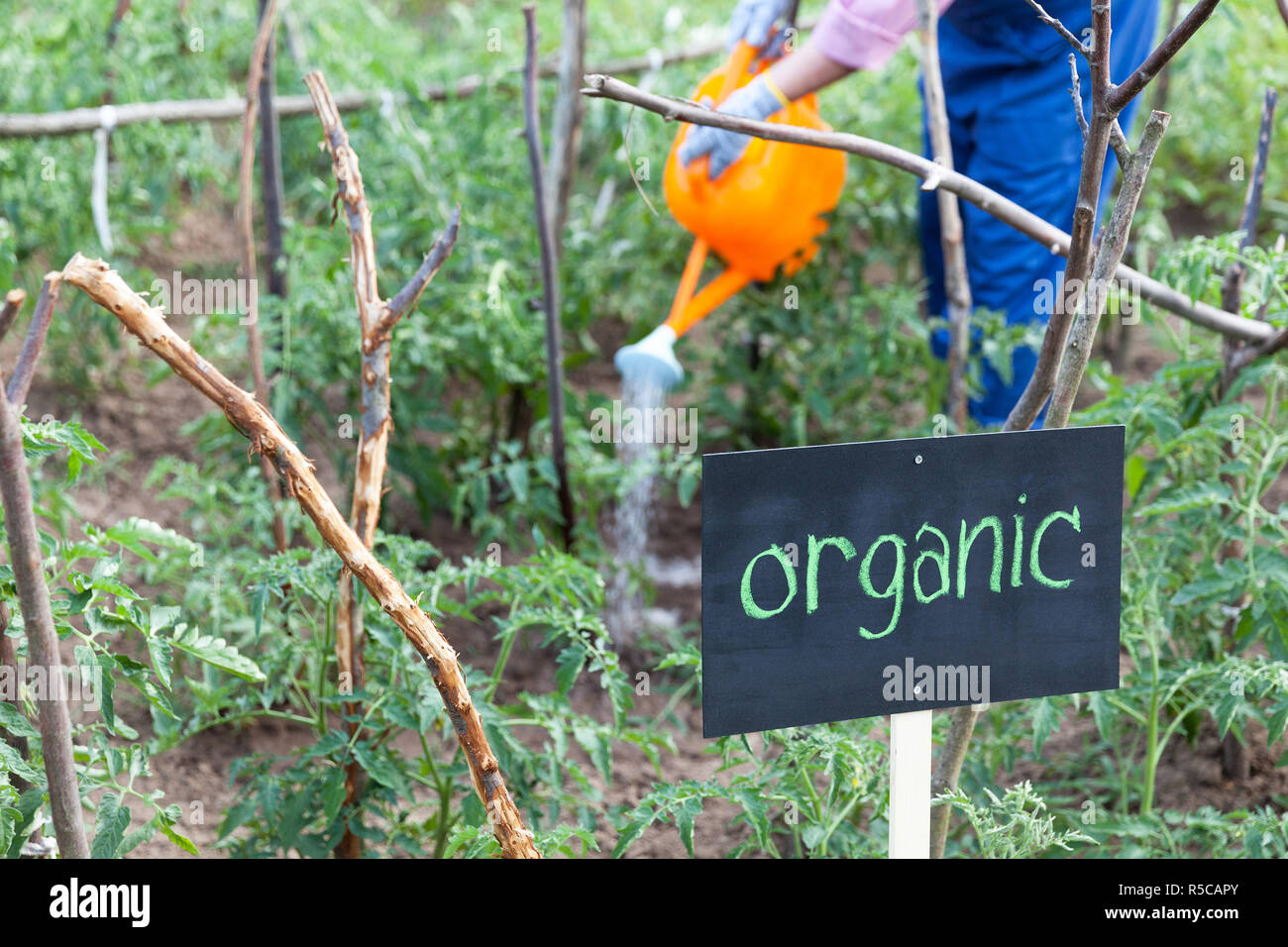 Agricoltore lavora nell'orto biologico Foto Stock