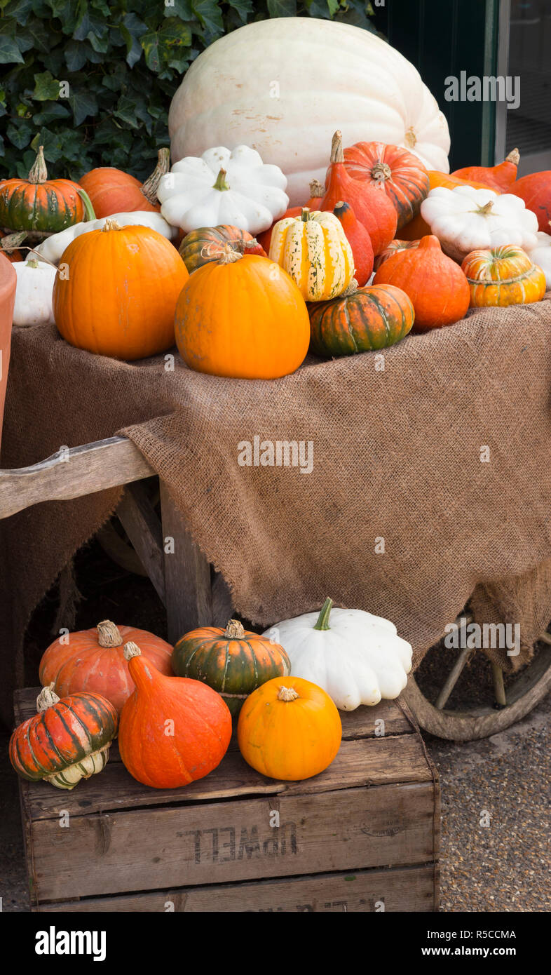Schiaccia su una carriola, colorate molte varietà di verdure Foto Stock
